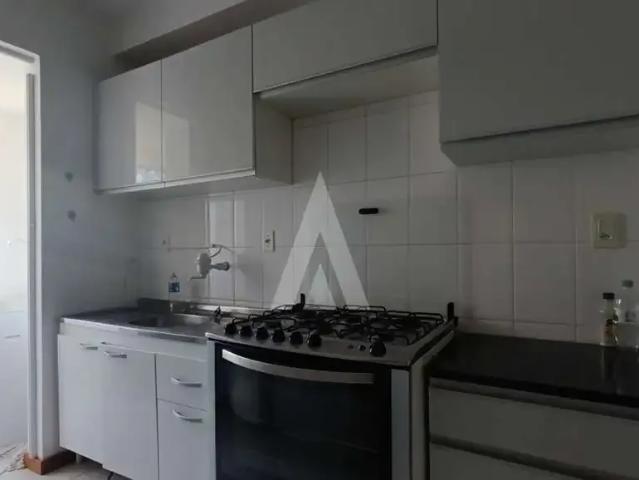 Apartamento aluguel em Região Geográfica Imediata de Joinville, Joinville