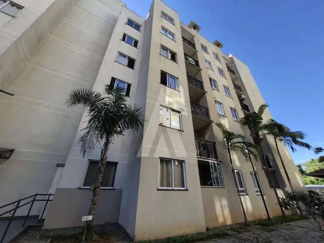 Apartamento aluguel em Região Geográfica Imediata de Joinville, Joinville