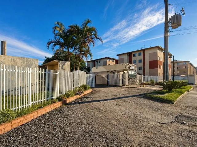 Apartamento aluguel em Região Geográfica Imediata de Joinville, Joinville