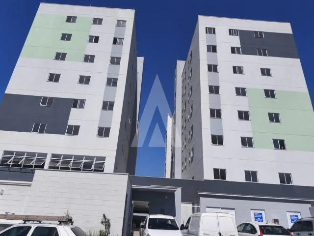 Apartamento aluguel em Região Geográfica Imediata de Joinville, Joinville