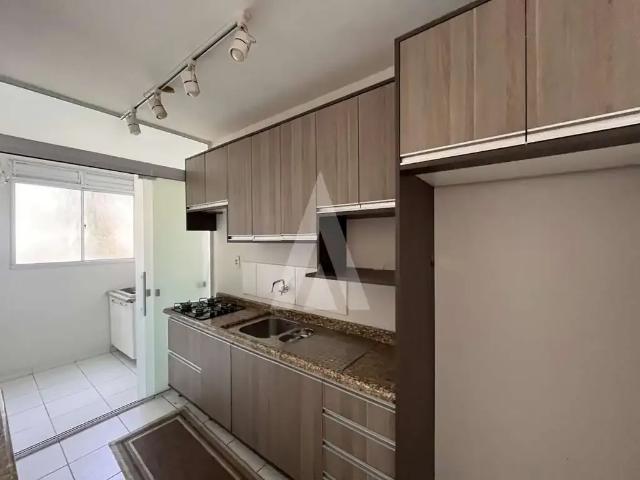 Apartamento aluguel em Região Geográfica Imediata de Joinville, Joinville