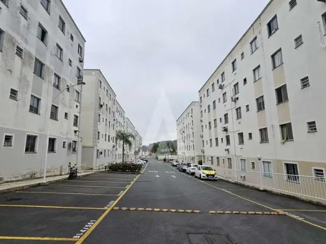 Apartamento aluguel em Região Geográfica Imediata de Joinville, Joinville