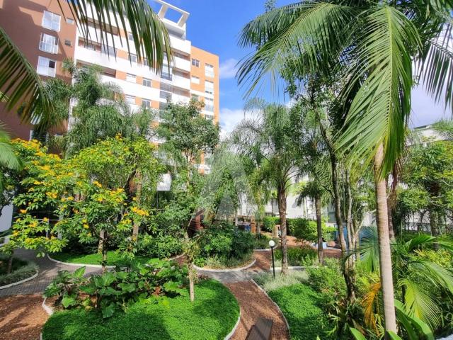 Apartamento aluguel em Região Geográfica Imediata de Joinville, Joinville