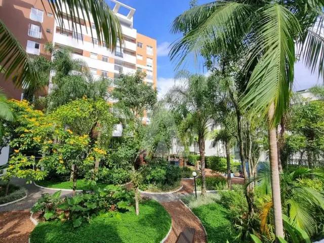Apartamento aluguel em Região Geográfica Imediata de Joinville, Joinville