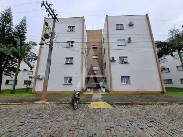 Apartamento aluguel em Região Geográfica Imediata de Joinville, Joinville