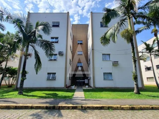 Apartamento aluguel em Guanabara, Joinville