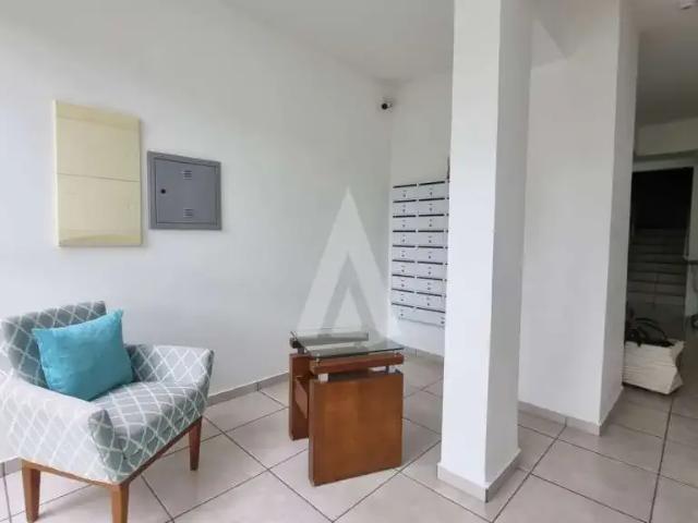 Apartamento aluguel em Região Geográfica Imediata de Joinville, Joinville