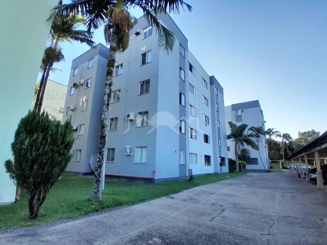 Apartamento aluguel em Região Geográfica Imediata de Joinville, Joinville