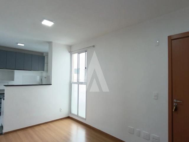 Apartamento aluguel em Jarivatuba, Joinville