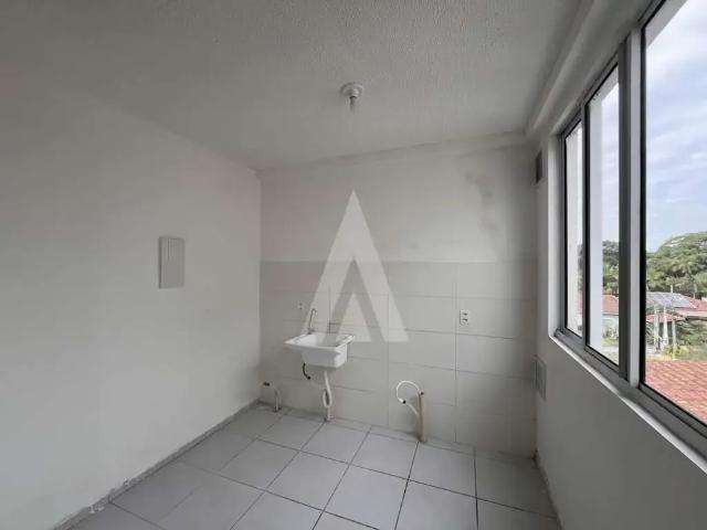 Apartamento aluguel em Região Geográfica Imediata de Joinville, Joinville
