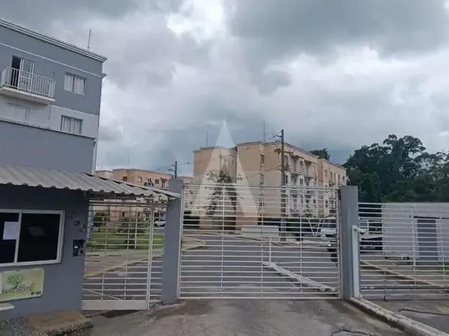 Apartamento aluguel em Região Geográfica Imediata de Joinville, Joinville