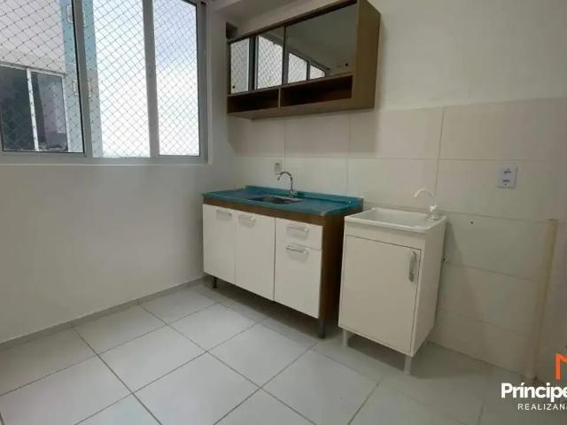 Apartamento aluguel em Região Geográfica Imediata de Joinville, Joinville