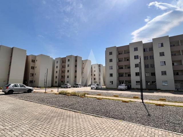 Apartamento aluguel em Pirabeiraba, Joinville