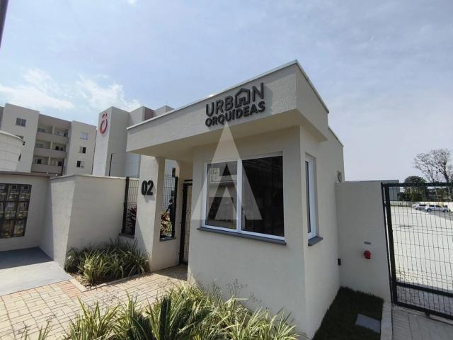 Apartamento aluguel em Região Geográfica Imediata de Joinville, Joinville