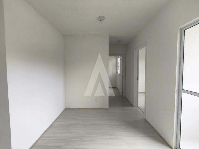Apartamento aluguel em Pirabeiraba, Joinville