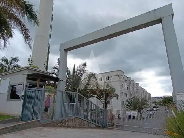 Apartamento aluguel em Região Geográfica Imediata de Joinville, Joinville
