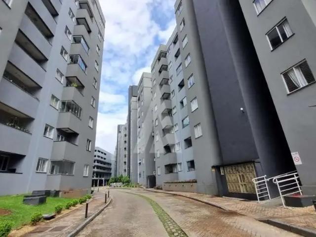 Apartamento aluguel em Região Geográfica Imediata de Joinville, Joinville