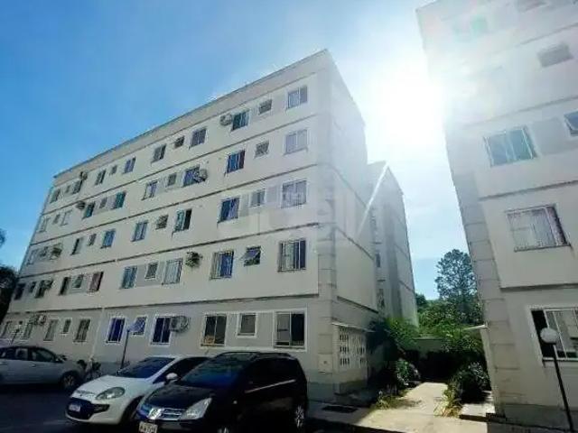 Apartamento aluguel em Região Geográfica Imediata de Joinville, Joinville