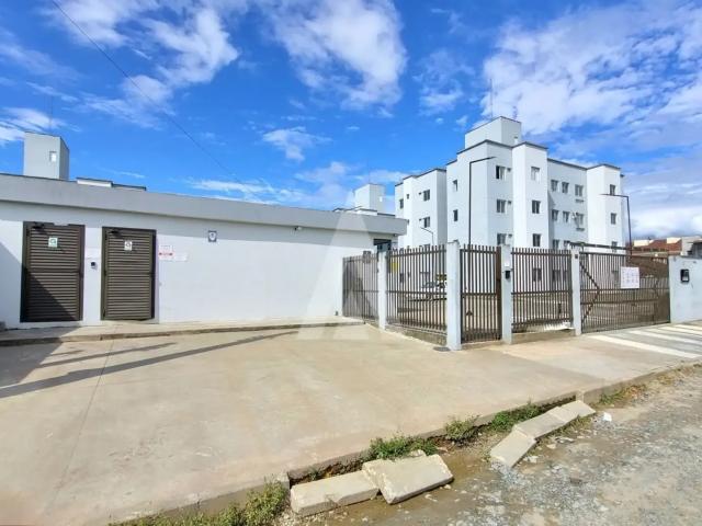Apartamento aluguel em Região Geográfica Imediata de Joinville, Joinville