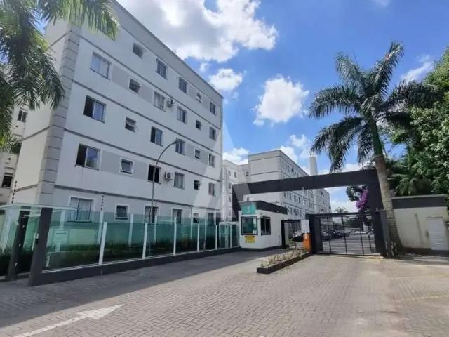 Apartamento aluguel em Região Geográfica Imediata de Joinville, Joinville