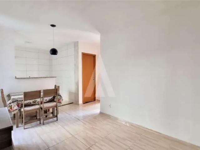 Apartamento aluguel em Região Geográfica Imediata de Joinville, Joinville