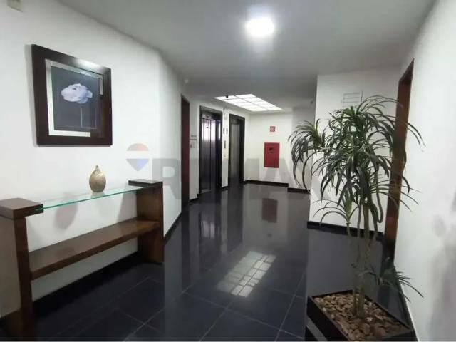 Apartamento aluguel em Região Geográfica Imediata de Juiz de Fora, Juiz de Fora
