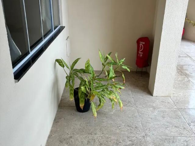 Apartamento aluguel em Região Geográfica Imediata de Salvador, Região Metropolitana de Salvador