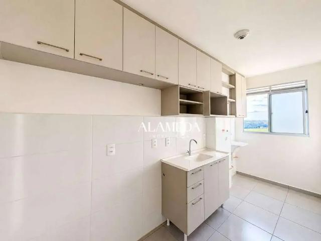 Apartamento aluguel em Jardim Santa Paula, Ibiporã