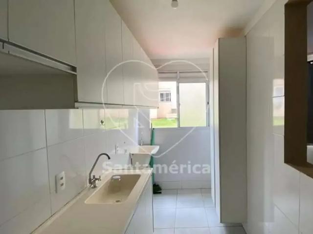Apartamento aluguel em Região Geográfica Imediata de Londrina, Londrina