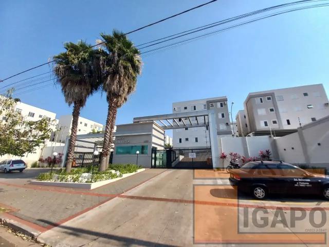 Apartamento aluguel em Região Geográfica Imediata de Londrina, Londrina