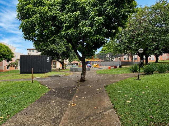 Apartamento aluguel em Região Geográfica Imediata de Londrina, Londrina