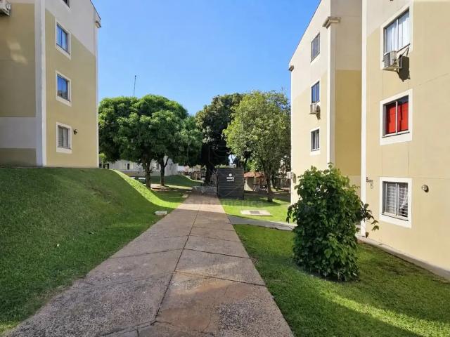 Apartamento aluguel em Região Geográfica Imediata de Londrina, Londrina