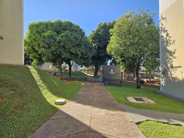 Apartamento aluguel em Região Geográfica Imediata de Londrina, Londrina