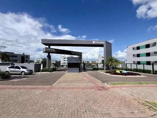 Apartamento aluguel em Região Geográfica Imediata de Londrina, Londrina