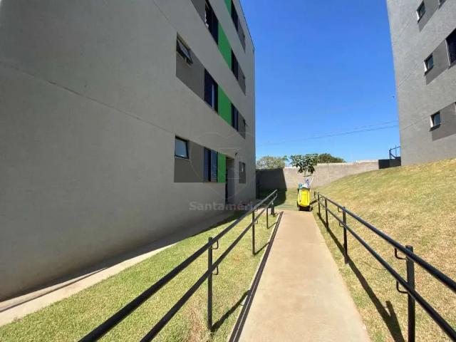 Apartamento aluguel em Região Geográfica Imediata de Londrina, Londrina