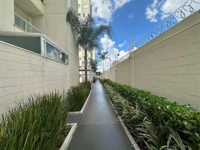Apartamento aluguel em Região Geográfica Imediata de Londrina, Londrina