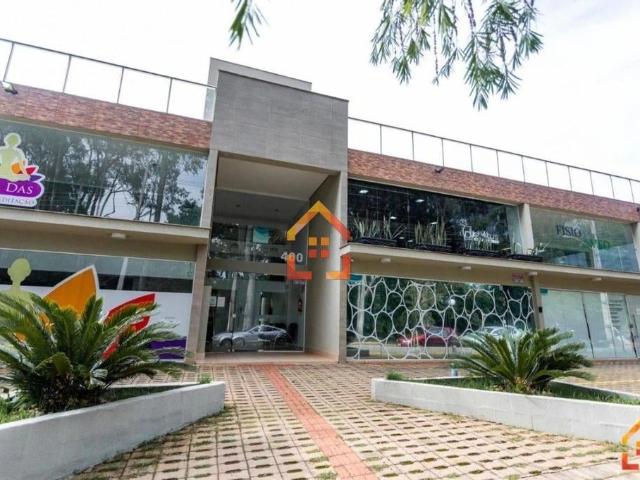 Apartamento aluguel em Champagnat, Londrina