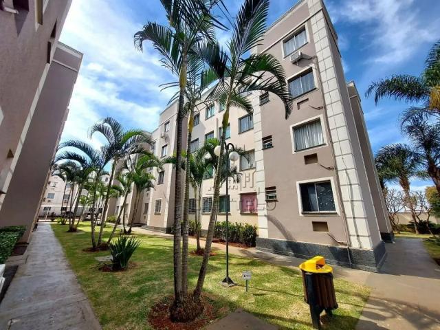 Apartamento aluguel em Região Geográfica Imediata de Londrina, Londrina