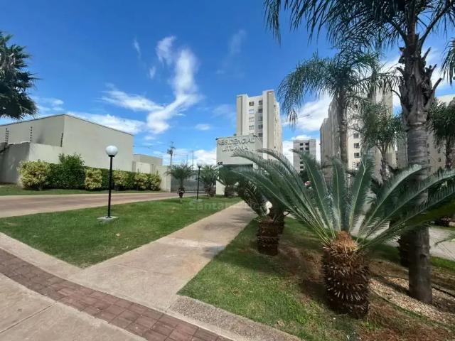 Apartamento aluguel em Região Geográfica Imediata de Londrina, Londrina