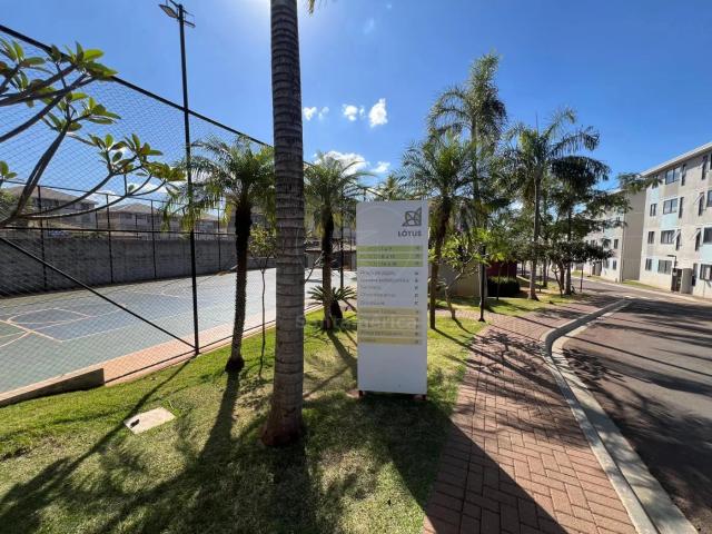 Apartamento aluguel em Centro, Londrina