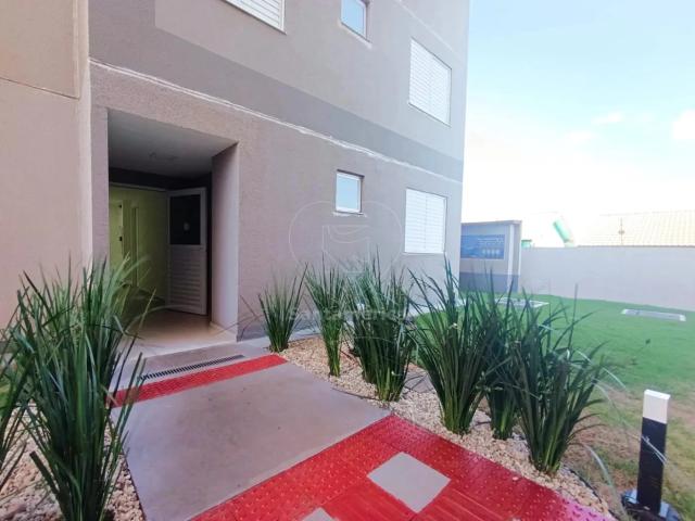 Apartamento aluguel em Região Geográfica Imediata de Londrina, Londrina