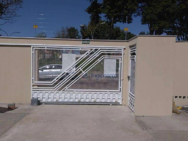 Apartamento aluguel em Jardim Piza, Londrina