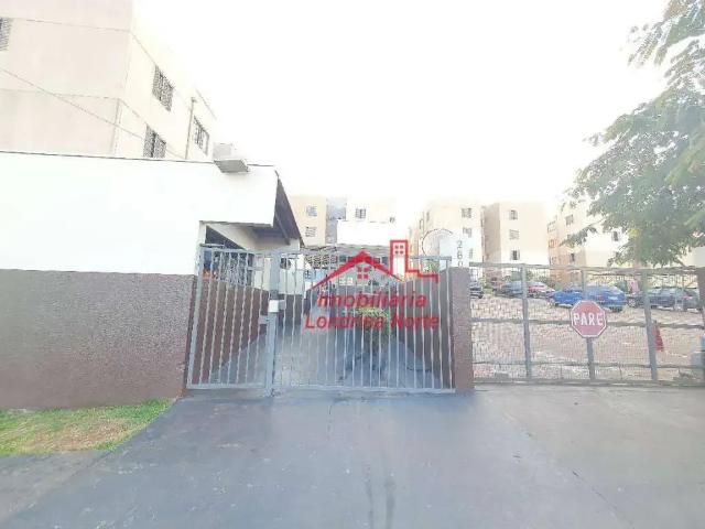 Apartamento aluguel em Região Geográfica Imediata de Londrina, Londrina