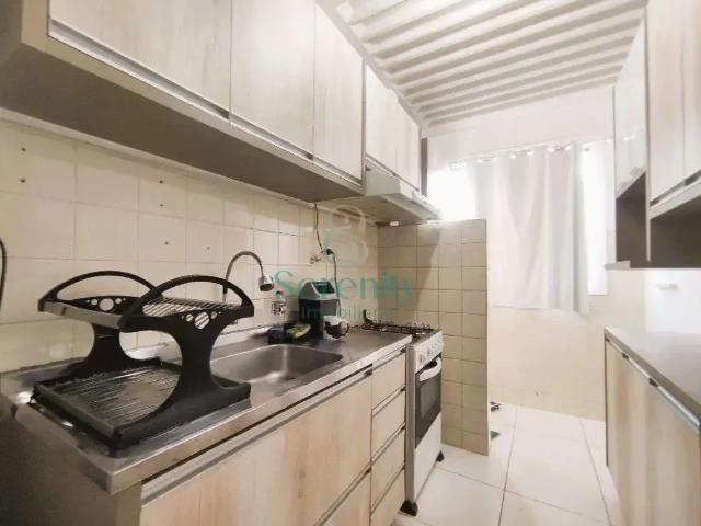 Apartamento aluguel em Região Geográfica Imediata de Londrina, Londrina