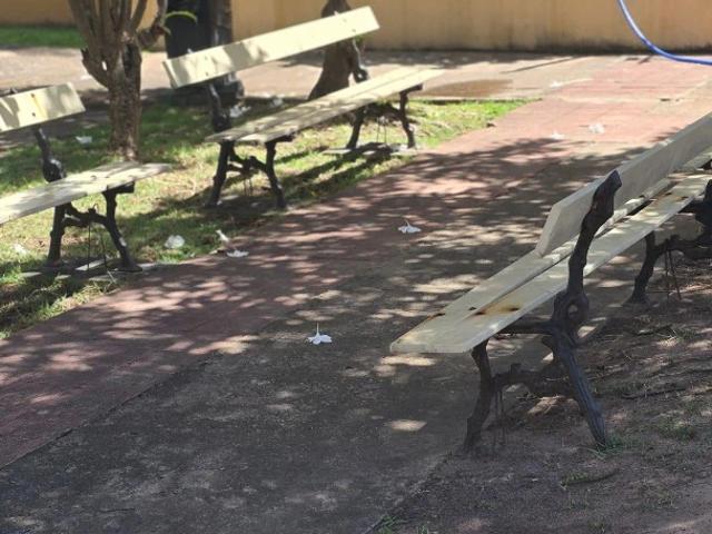 Apartamento aluguel em Parque Residencial Jatiúca, Maceió