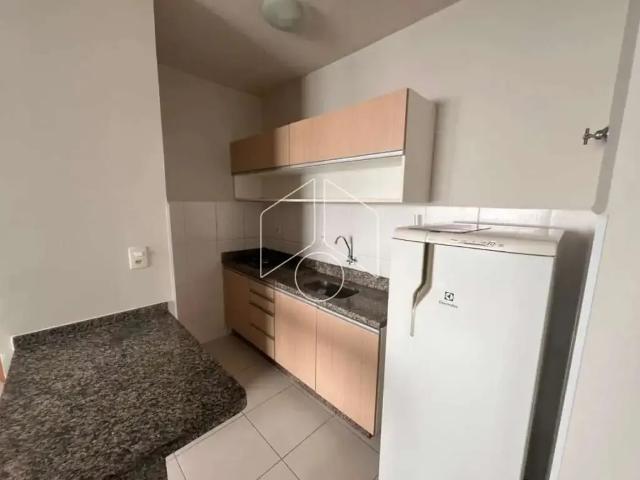 Apartamento aluguel em Região Imediata de Marília, Marília