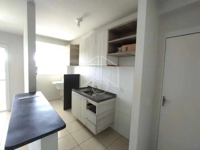 Apartamento aluguel em Região Imediata de Marília, Marília