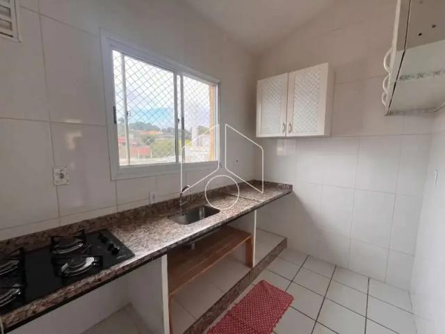 Apartamento aluguel em Região Imediata de Marília, Marília