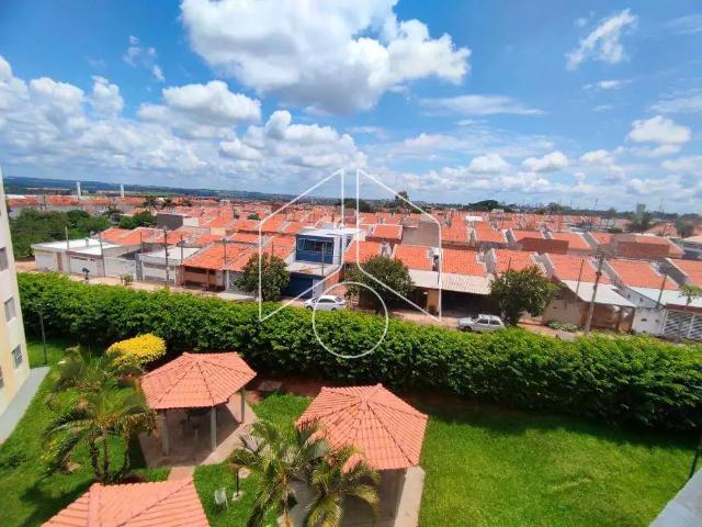 Apartamento aluguel em Região Imediata de Marília, Marília