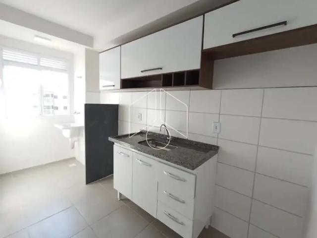 Apartamento aluguel em Região Imediata de Birigui-Penápolis, Birigui